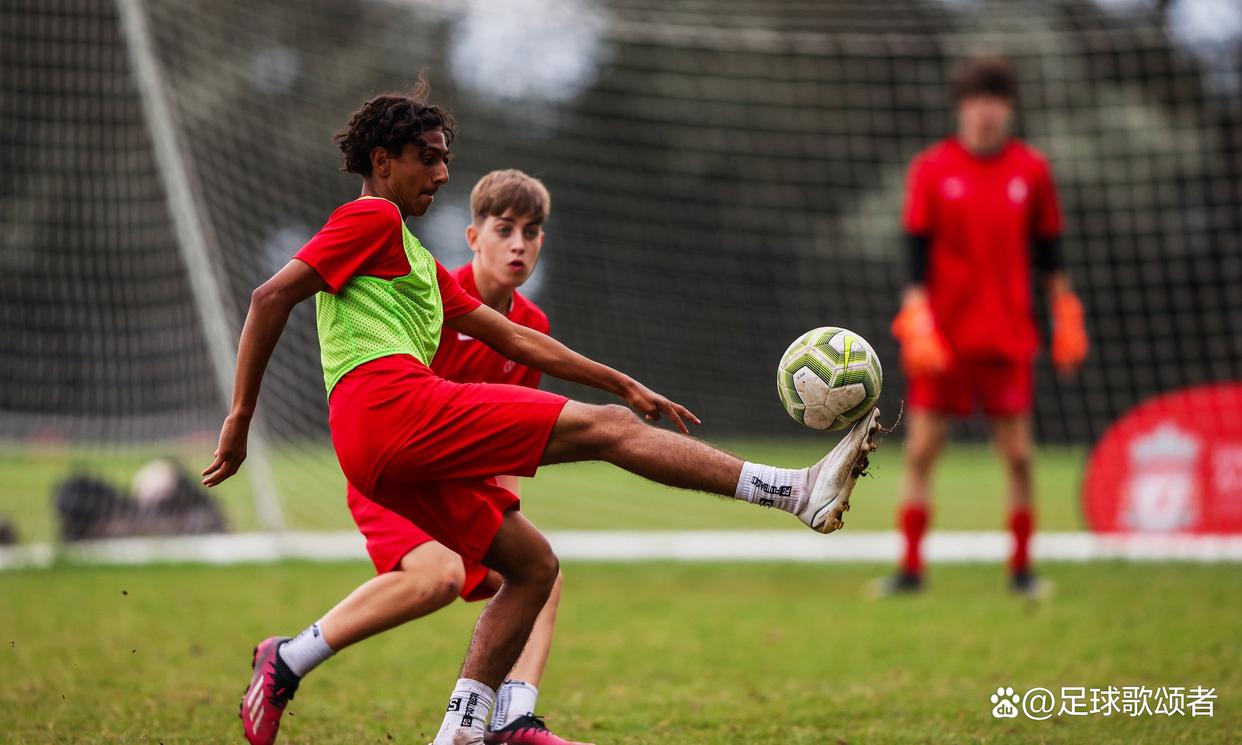 利记官网-利物浦备战欧冠，球员调整备战状态！